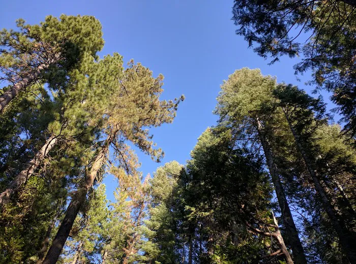Sunset Campground Picture 6