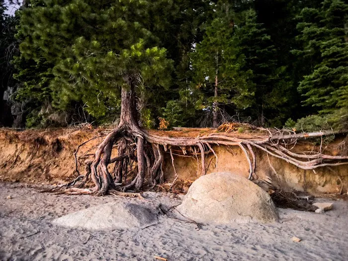 Sunset Campground Picture 9