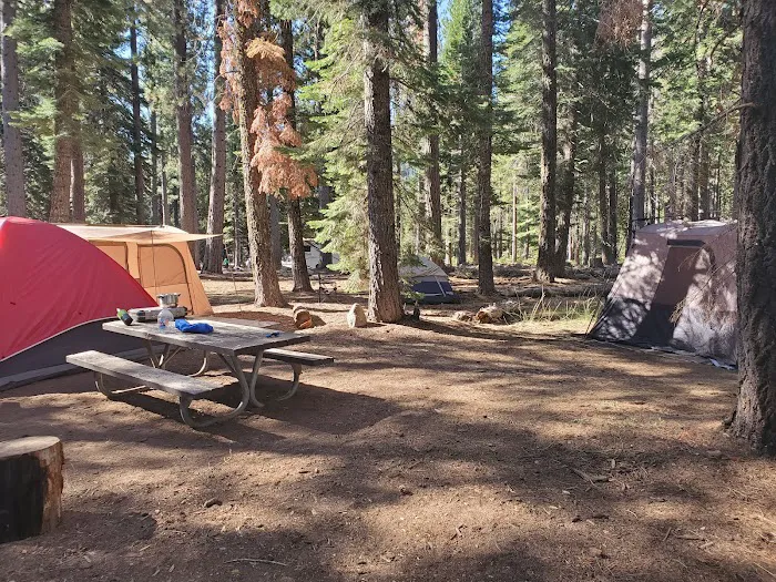 South Fork Group Campground Picture 4