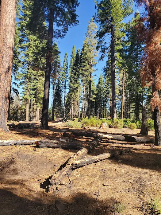 South Fork Group Campground Picture 2