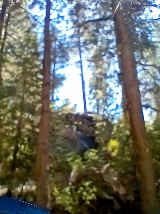 South Fork Group Campground Picture 6