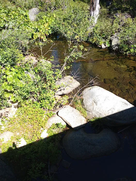 South Fork Group Campground Picture 10