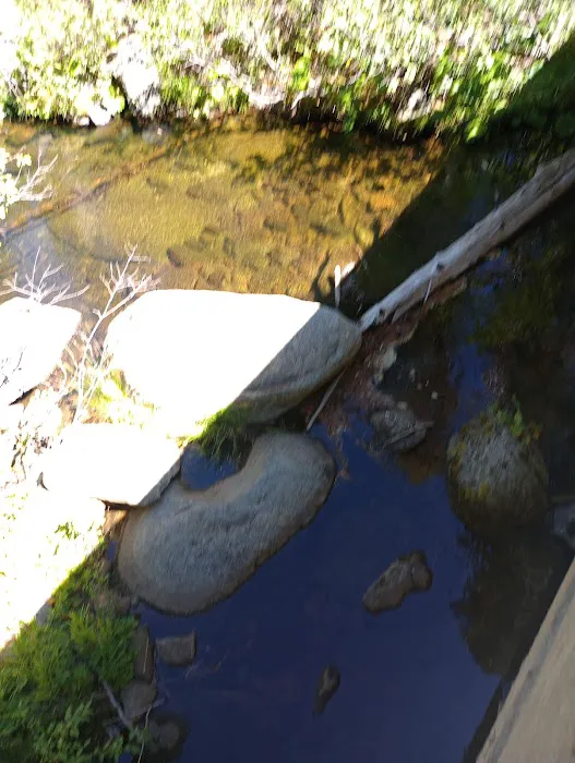 South Fork Group Campground Picture 9