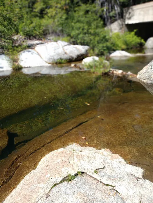South Fork Group Campground Picture 8