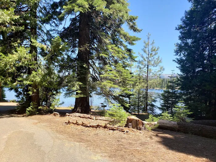 Fashoda Campground Picture 2