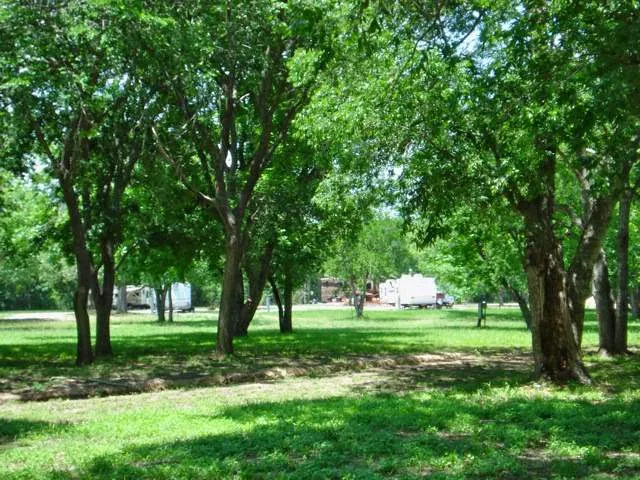 San Gabriel River RV Park Picture 5