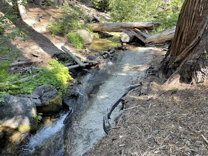 Yellow Jacket Campground Picture 1