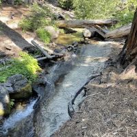 Yellow Jacket Campground ico