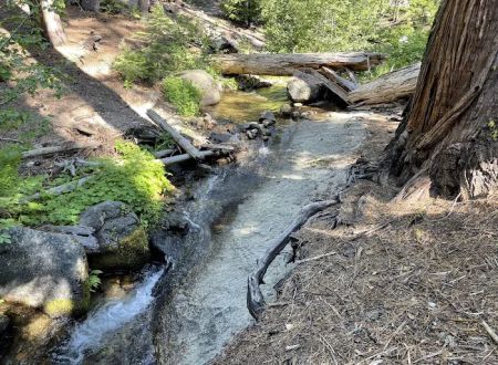 Yellow Jacket Campground