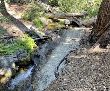 Yellow Jacket Campground