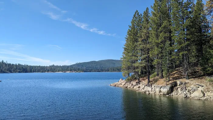Yellow Jacket Campground Picture 3