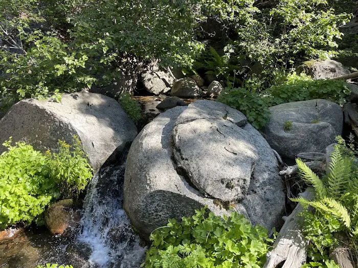 Yellow Jacket Campground Picture 4