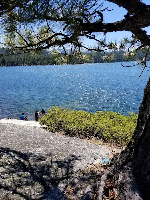 Yellow Jacket Campground Picture 6