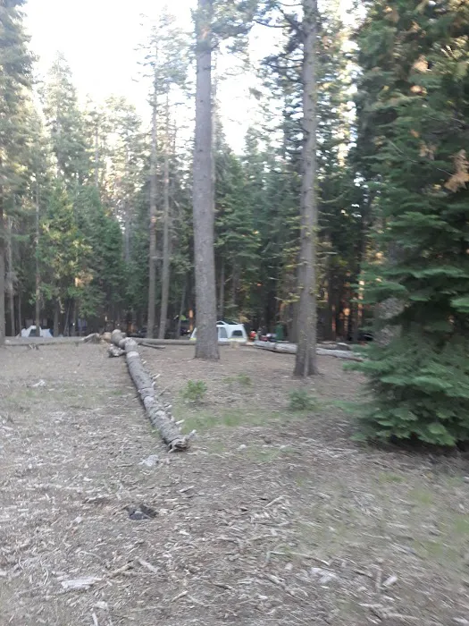 Yellow Jacket Campground Picture 9