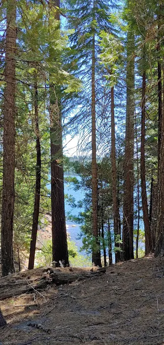 Yellow Jacket Campground Picture 10