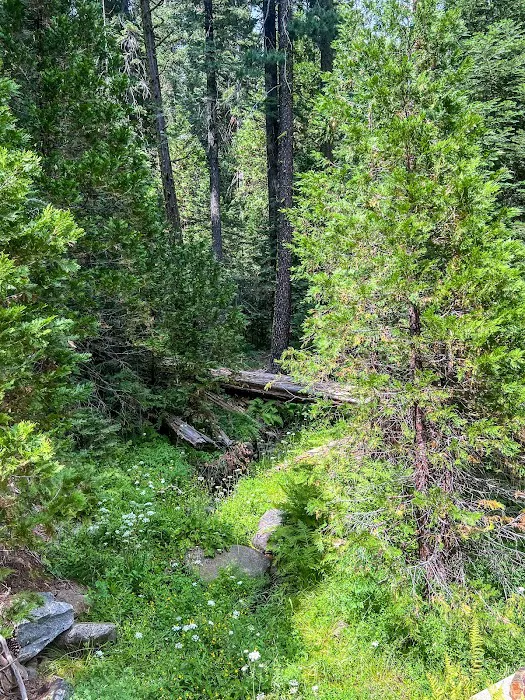 Lone Rock Campground Picture 8