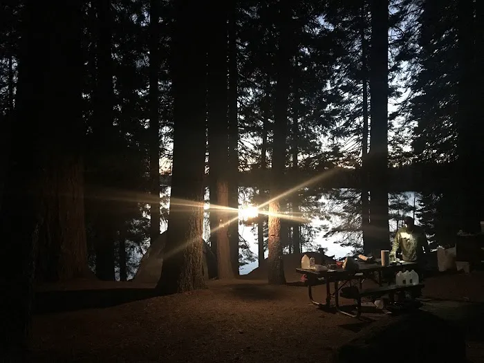 Jones Fork Campground Picture 1