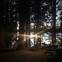 Jones Fork Campground ico