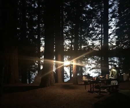 Jones Fork Campground