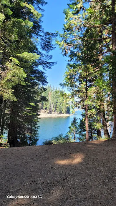 Jones Fork Campground Picture 4