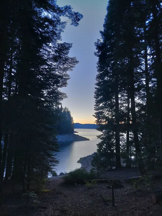Jones Fork Campground Picture 8
