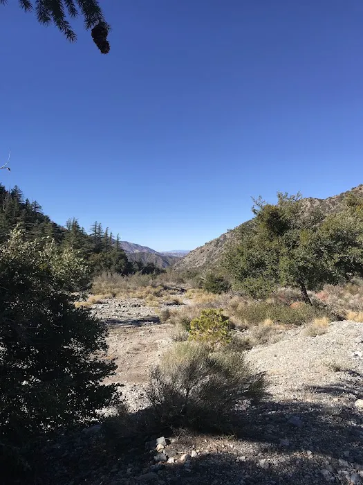 Big Rock Campground Picture 5