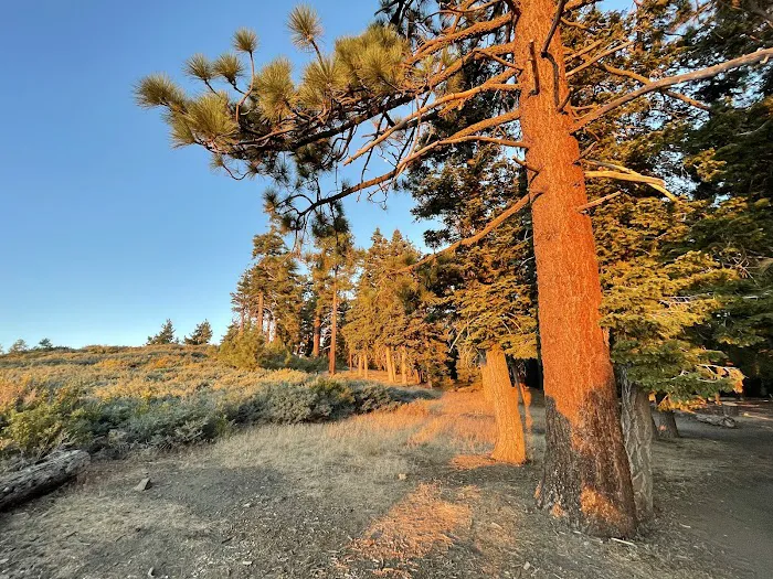 Jackson Flat Group Campground Picture 2