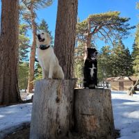 Jackson Flat Group Campground ico
