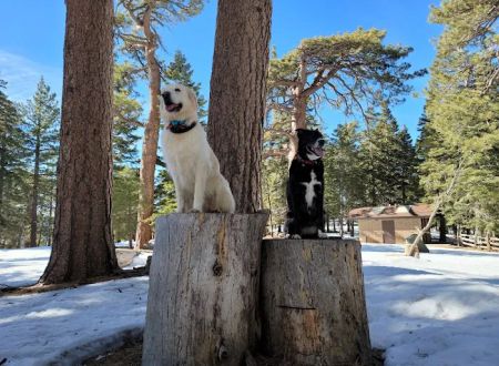 Jackson Flat Group Campground