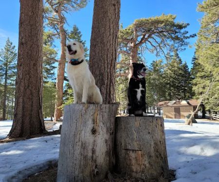 Jackson Flat Group Campground