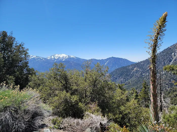Jackson Flat Group Campground Picture 3