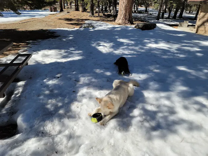 Jackson Flat Group Campground Picture 4