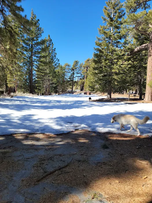 Jackson Flat Group Campground Picture 8