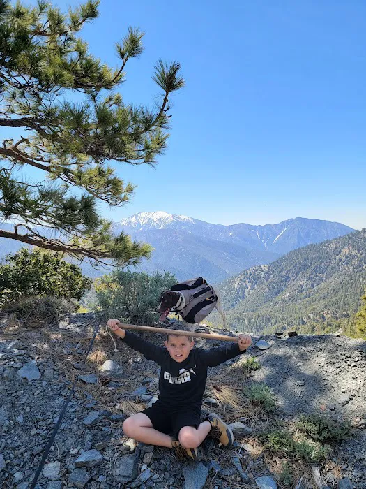 Jackson Flat Group Campground Picture 9