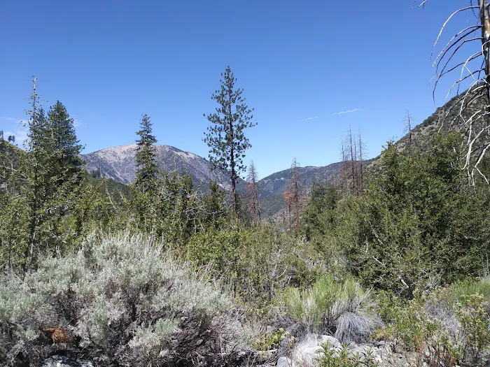 Cabin Flat Trail Camp Picture 1