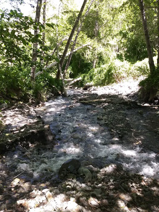 Cabin Flat Trail Camp Picture 2