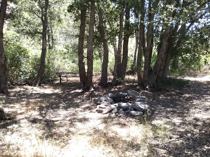 Cabin Flat Trail Camp Picture 4