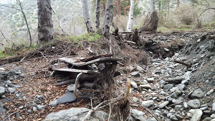 Cabin Flat Trail Camp Picture 6