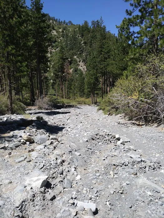 Cabin Flat Trail Camp Picture 7