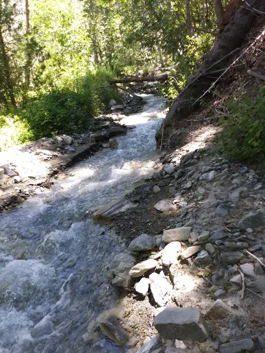 Cabin Flat Trail Camp Picture 9