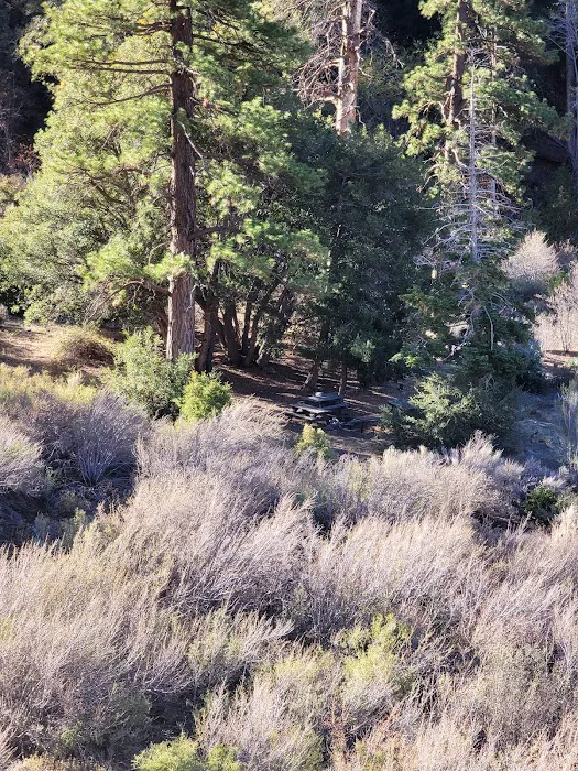 Cabin Flat Trail Camp Picture 10