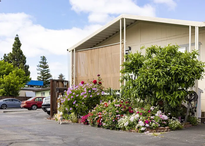 South Bay Mobile Home Park Picture 8