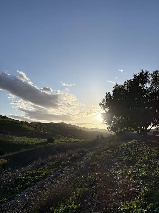 Rolling M Ranch Campground Picture 6