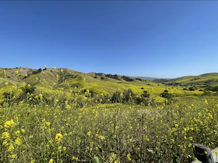 Rolling M Ranch Campground Picture 5