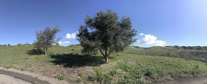 Rolling M Ranch Campground Picture 9
