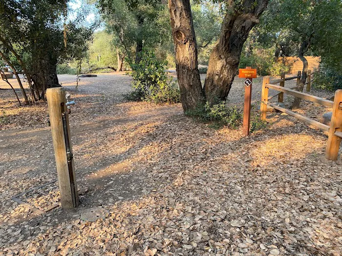 Live Oak Campground at Caspers Wilderness Park Picture 2
