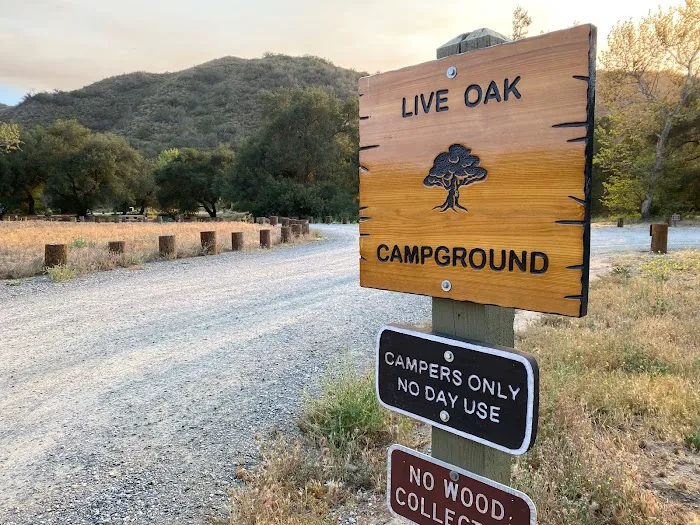 Live Oak Campground at Caspers Wilderness Park Picture 6