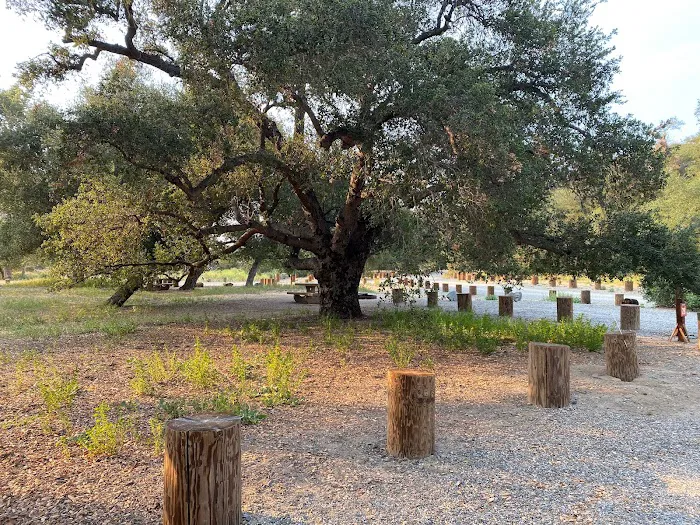 Live Oak Campground at Caspers Wilderness Park Picture 10