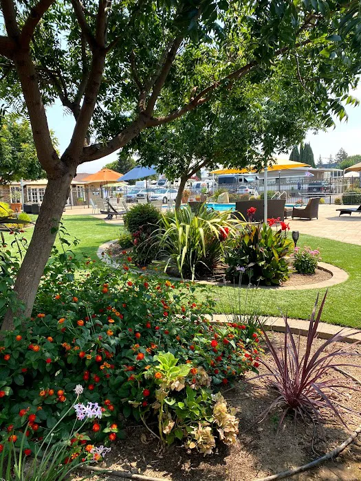 Trailer Tel Rv Park Picture 9