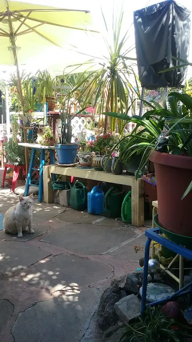 La Buona Vita-Mobile Park Picture 3